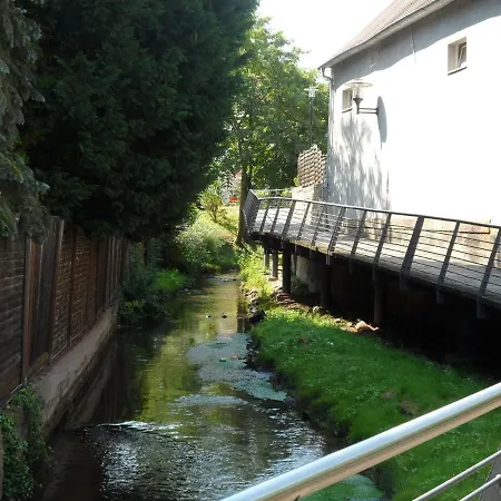 Apartment Ferienwohnung Orchidee Germersheim