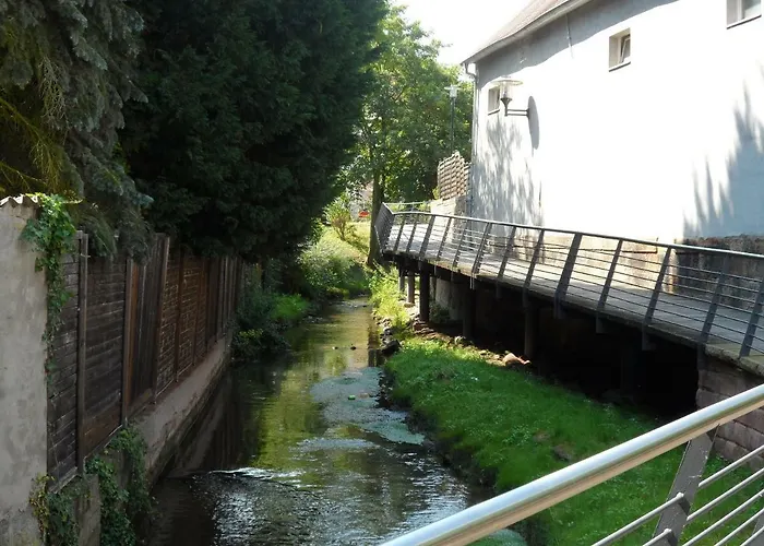 Apartamento Ferienwohnung Orchidee Germersheim